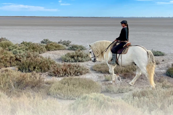 Horseback riding in the Camargue