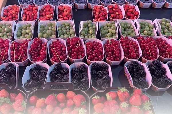 Fresh berries at the Provence market