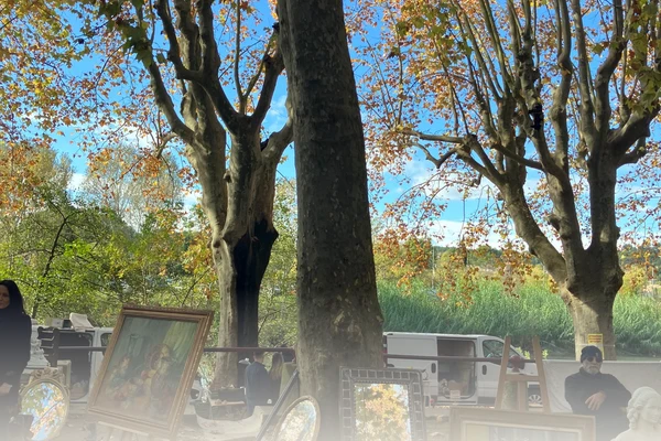 Antique paintings and mirrors under plane trees at a brocante market